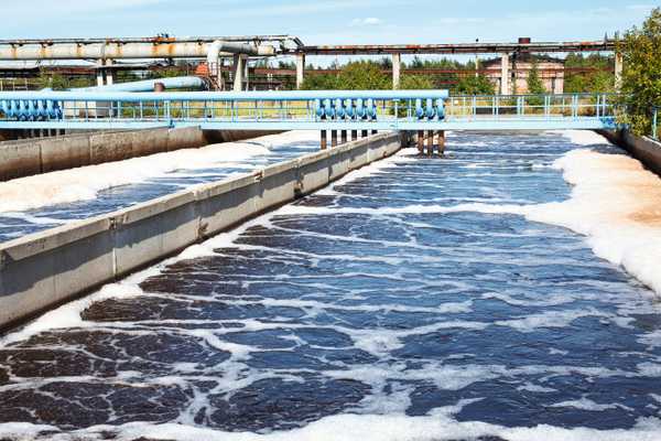 Water Treatment & Process Water